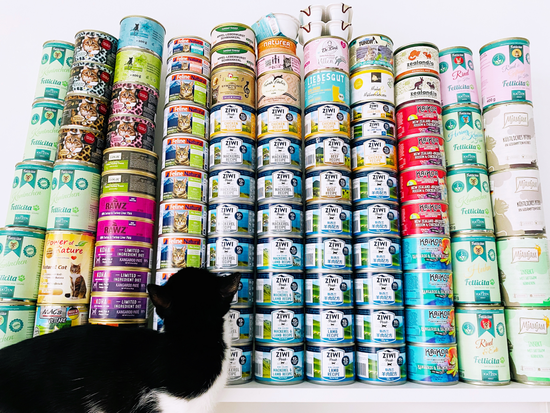 夏业的宠物猫和猫罐头。受访者供图