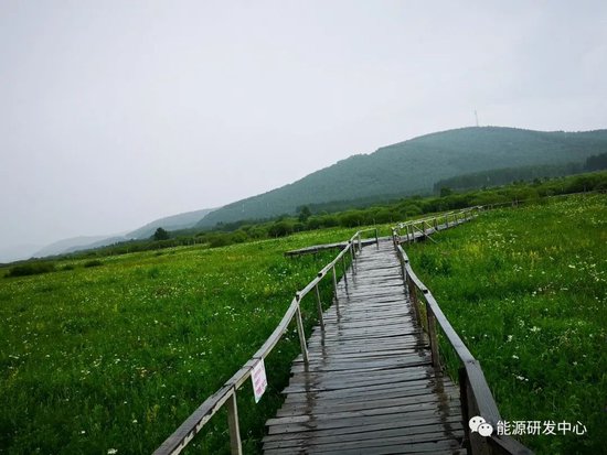 暖风频吹,油价摆脱颓势大涨超3%