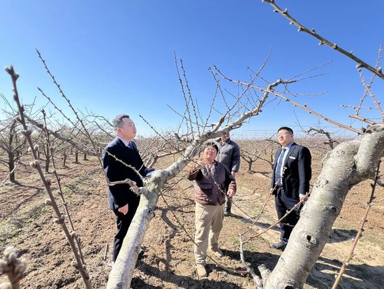 ↑澄城联社客户经理到田间地头问需求、送服务。