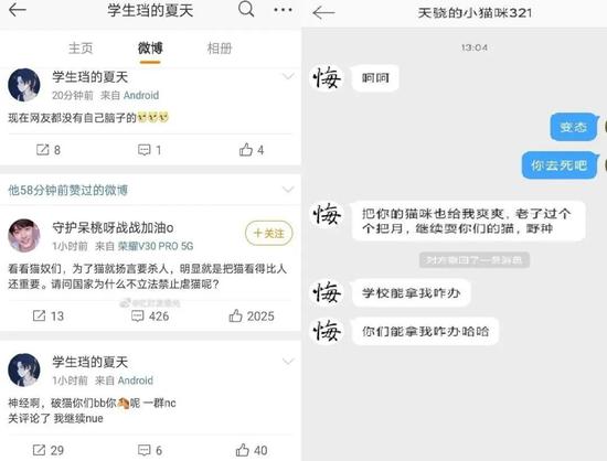 起底虐猫嗜血产业链 团伙分工合作有人月赚万元 新浪财经 新浪网 起底虐猫嗜血产业链 团伙分工合作有人月赚万元 新浪财经 新浪网