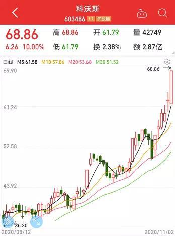销量最高猛涨1000% 小家电“爆单”模式开启