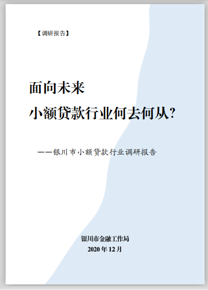 宁夏发小贷行业调研报告 个别小贷公司不良率已达100%