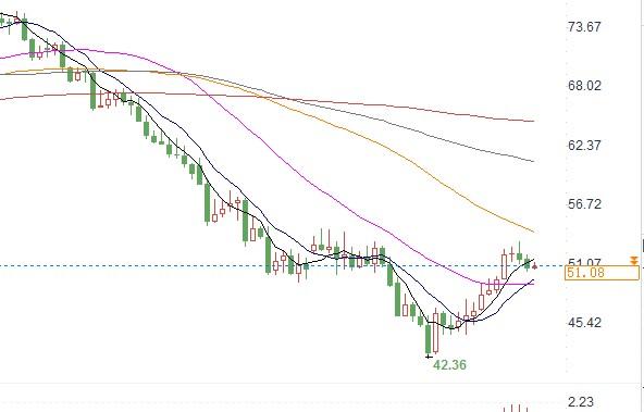 汇通财经易汇通软件显示，北京时间1月15日13：20，WTI油价报51.13美元/桶。