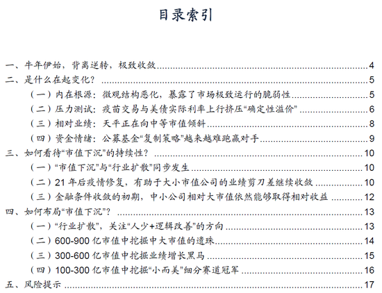 “广发策略：如何布局“市值下沉”？拾级而下四大线索