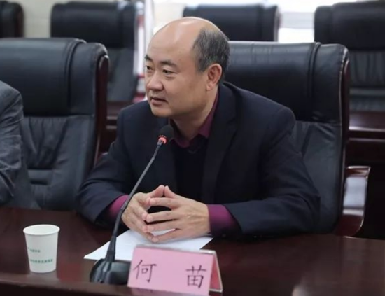 绵阳市商业银行原董事长何苗.