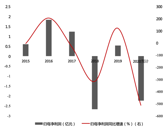 数据来源：根据公司公开资料整理