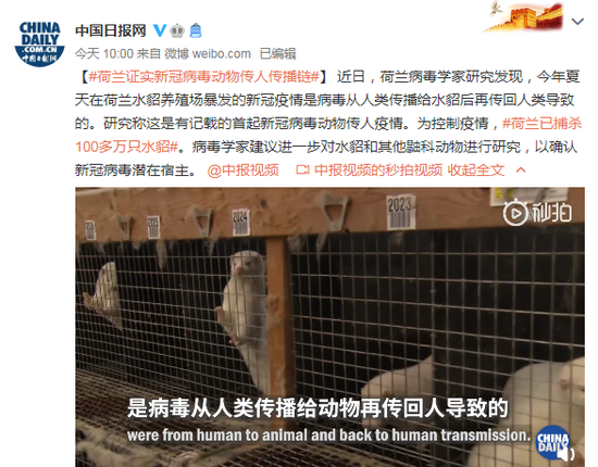 荷兰首次证实新冠病毒动物传人传播链