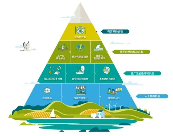 图2 |&nbsp;食物和土地利用转型金字塔;来源:folu