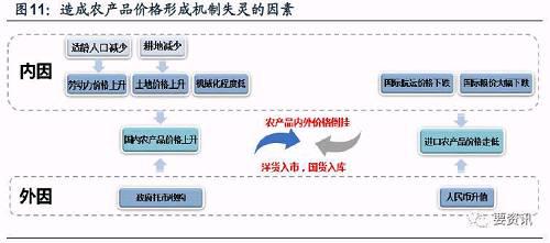 养殖加盟项目：开启致富门径的新选择