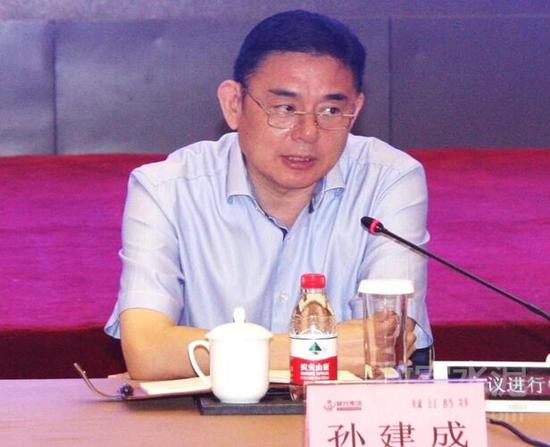 中国联合水泥集团总经理孙建成讲话