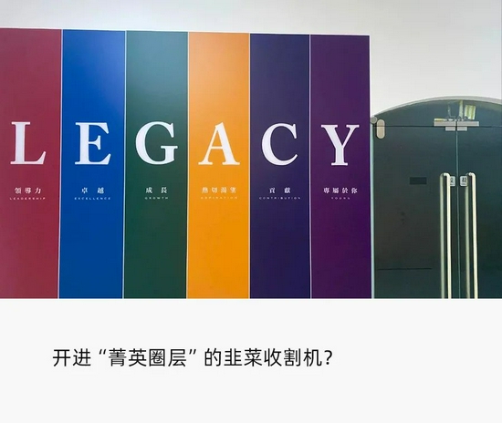 揭秘LEGACY课程：无法考证讲师有无资格证书 有学员用一年时间走出阴影