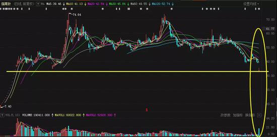 管你股价高或低 减持始终很“专一”：新低不断+高位跌停