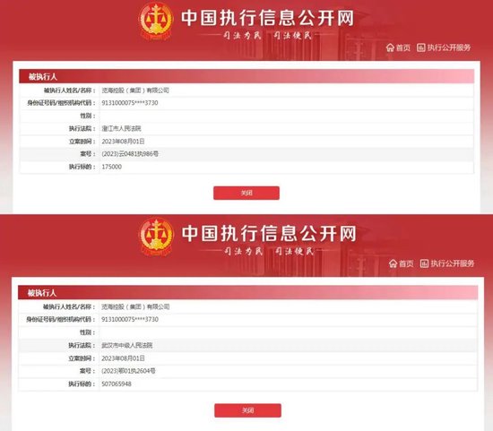 密春雷再被执行5亿,览海杠杆收购拖累“胡润富豪”