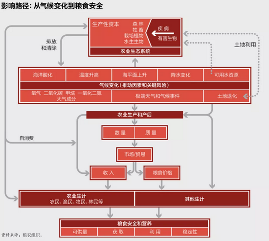 气候变化和粮食安全的系统性关联&nbsp;&nbsp;图源：联合国粮食及农业组织《气候变化、农业与粮食安全》