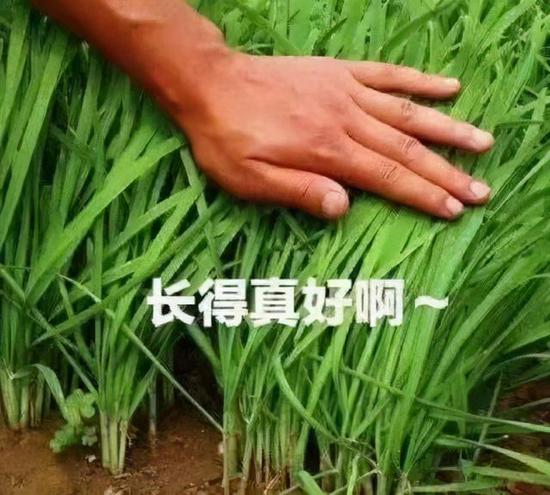 基民理财学苑基金绿了怎么解套当成炒股最易被收割