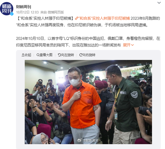 “和合系”的林强,押解回国了,卷走的几百亿,能吐回来多少?_新浪财经_新浪网
