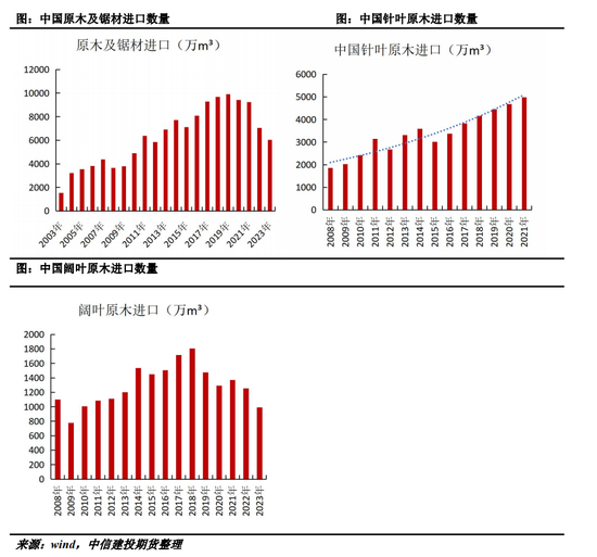 对节子茶图片