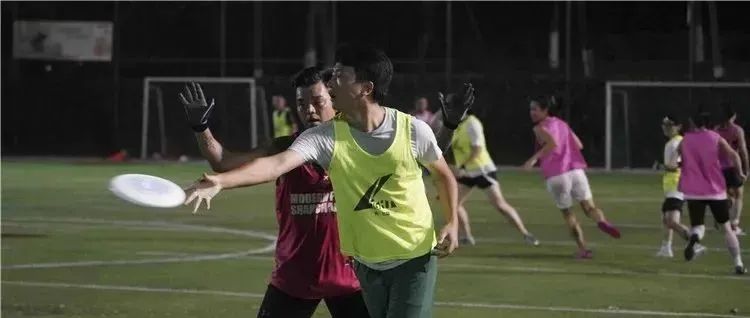 小狗的乐趣成年轻人潮流，50万飞盘玩家是真运动还是搞社交？