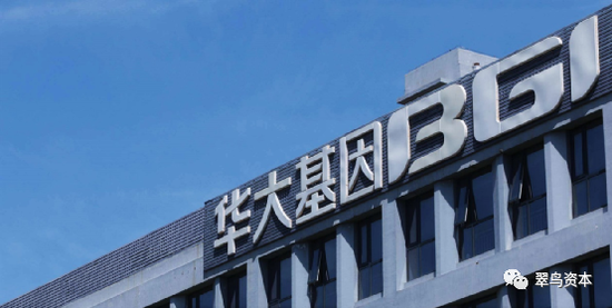 “华大基因业绩大滑坡 高瓴系资金被套？