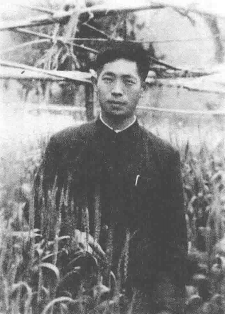 国士上篇青年袁隆平