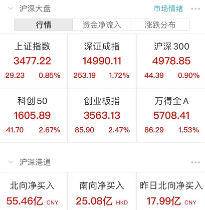 彻底涨疯：8000亿比亚迪涨停市值超中石油