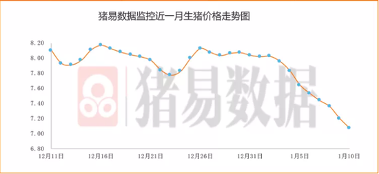 猪价8连跌猪肉股却逆势反弹 原因几何？