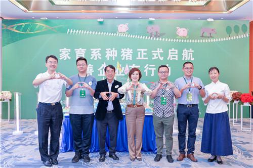 10年磨一剑，家育系种猪领跑中国“猪芯片”