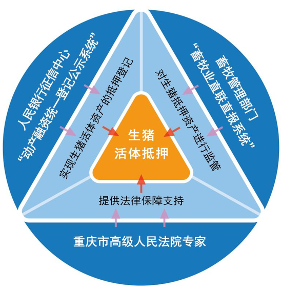 银保联手创新三种生猪活体抵押贷款模式