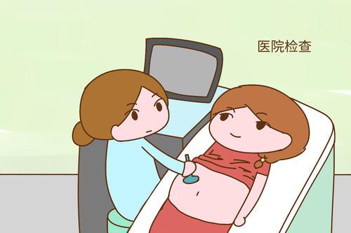 当妈不易：在当妈妈的路上我们要做的事情