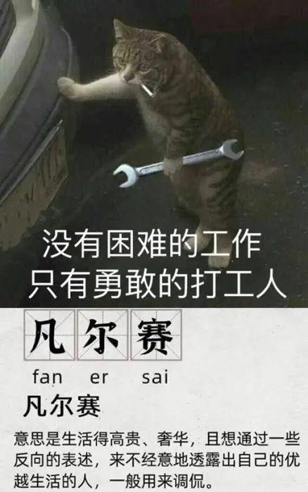 网红博主工地炫富惹争议：凡尔赛式体验生活不可取