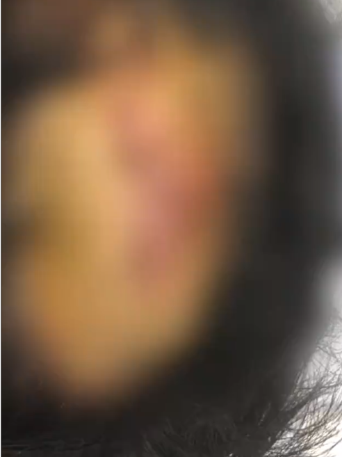 不愿降薪被高管打破头？涉事公司高管：是互殴 警方已介入