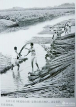 图1-3&nbsp;乡村生活居住图