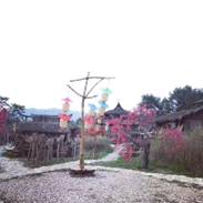 图3-4&nbsp;红树林影视基地