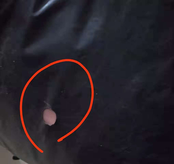 拼多多网购棉服开线有墨迹且包装破损网店已退款