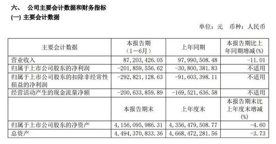 上半年亏损超2亿、股价一路下行 寒武纪能否撑起高估值？