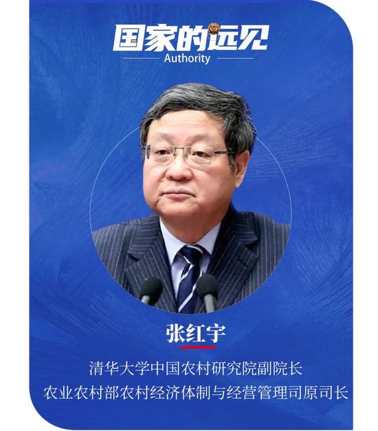 张红宇：农业产业安全的主动权 要牢牢握在自己手里