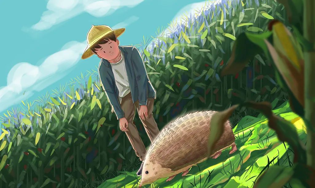 高铁时代的绿皮火车：草根创富的春天才刚刚开始