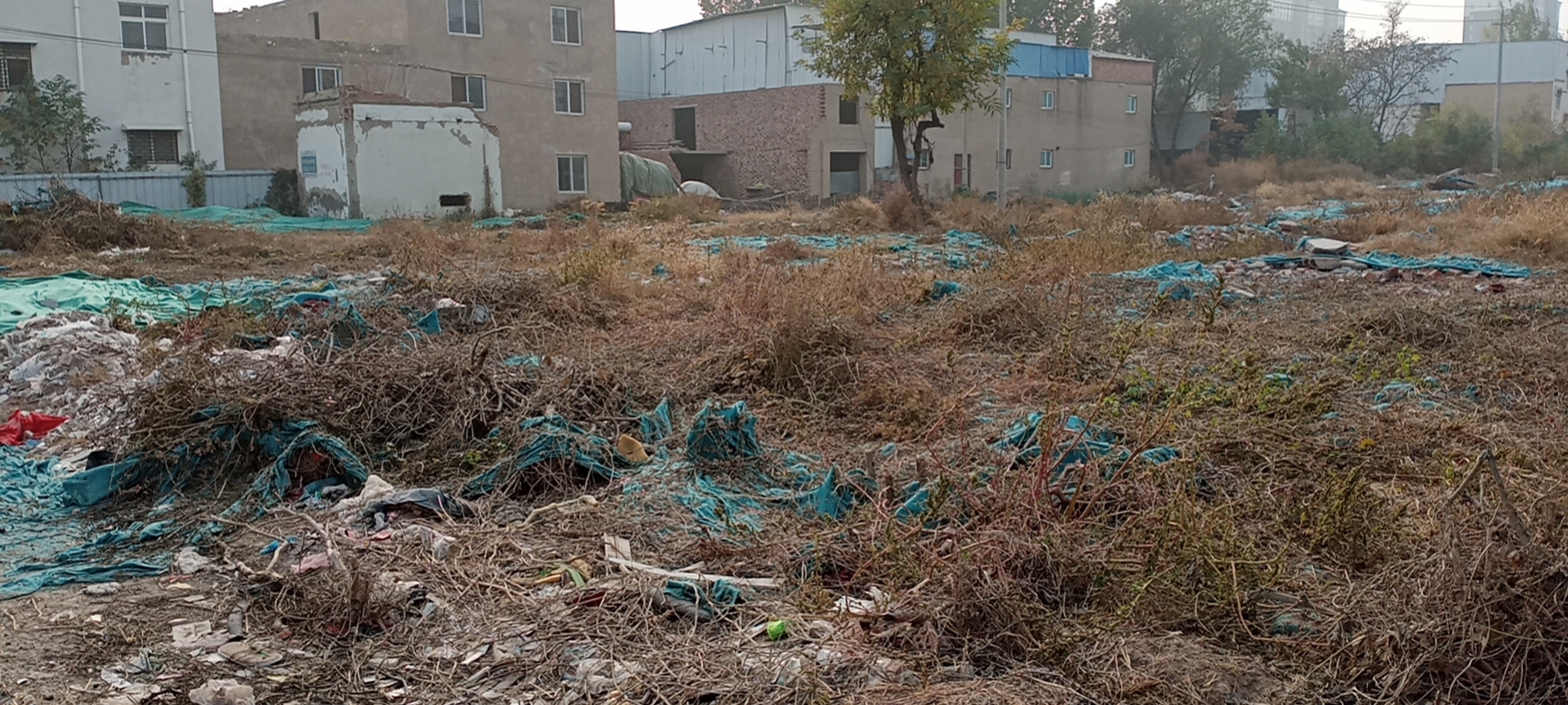 拆迁后的空地长出了荒草。受访者供图