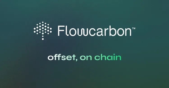 图源:Flowcarbon官网