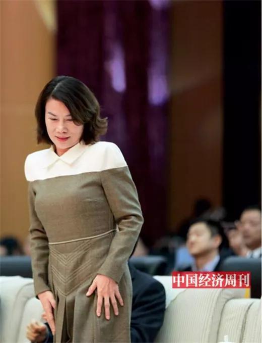 董明珠在第十七届中国经济论坛上