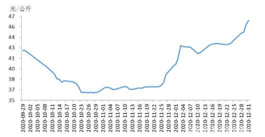 生猪期货上市在即 投资还是投机？