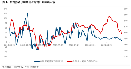【建投点评】鸡蛋:反弹还是反转?
