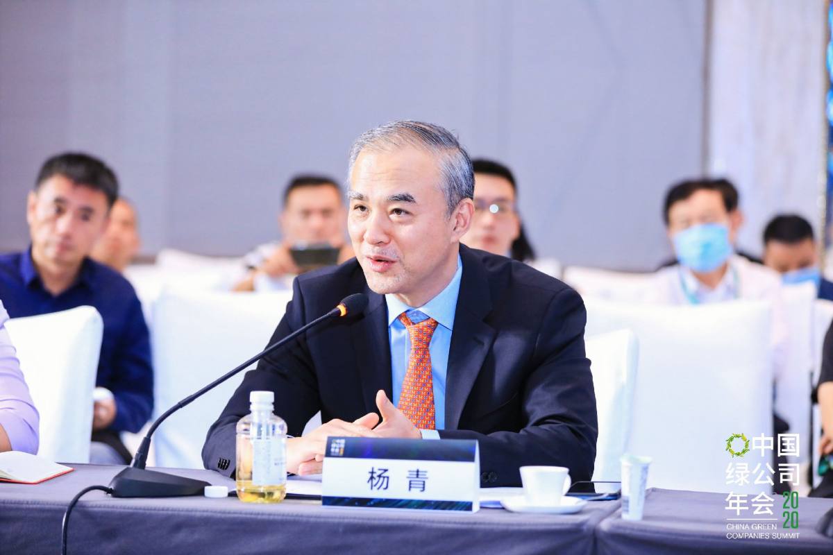 杨青：疾病没有国界 健康医药产业是携手合作的好机会