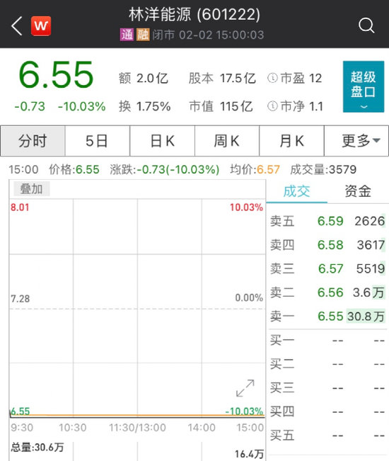 林祥能源董事长被“留置”：股价应声跌停 可转债盘中跌超20%
