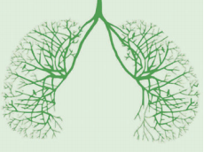 肺结核有哪些常见症状？如何预防结核病