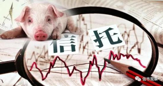 建信信托联合“饲料大王”新希望投资生猪产业