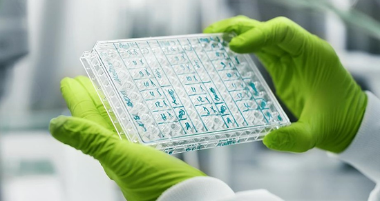 复星医药和BioNTech宣布 已在中国开始基于mRNA新冠疫苗临床试验