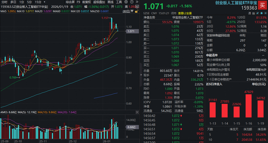 资金6日狂揽20亿元！创业板人工智能ETF（159363）规模突破60亿元再创新高！配置思路有哪些？