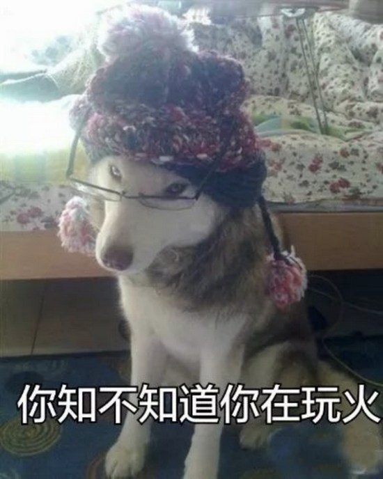 花呗套现、京东白条套现……有人房子、车子、家全没了 花呗套现、京东白条套现……有人房子、车子、家全没了