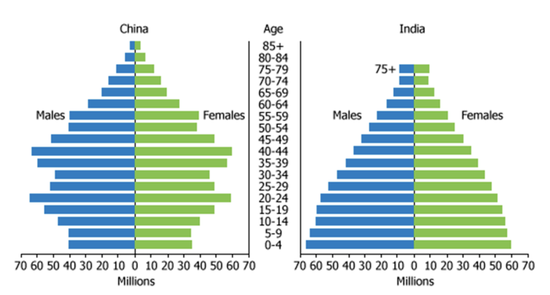 中印人口结构对比，印度的儿童和年轻人数量是中国的两倍